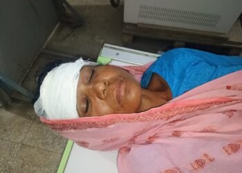अररिया – जमीनी विवाद को लेकर महिला पर जानलेवा हमला, गहना-नकद लूट; पीड़िता सदर अस्पताल में भर्ती