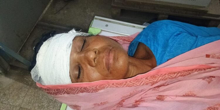 अररिया – जमीनी विवाद को लेकर महिला पर जानलेवा हमला, गहना-नकद लूट; पीड़िता सदर अस्पताल में भर्ती