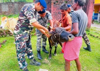 कुर्साकांटा – नि:शुल्क पशु चिकित्सा शिविर का आयोजन, 201 पशुओं का हुआ इलाज।